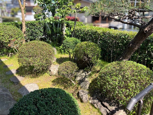 石守中古戸建の庭