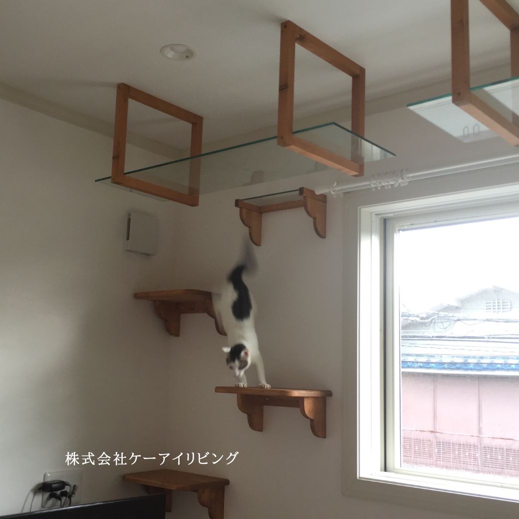 猫がのびのび造作棚