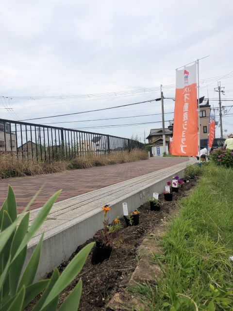 街路と花壇