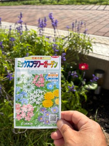 花の種