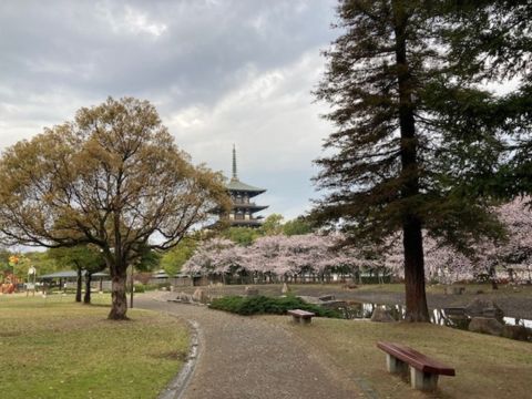 播磨町不動産仲介