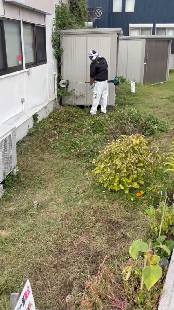 草刈り後のすっきり
