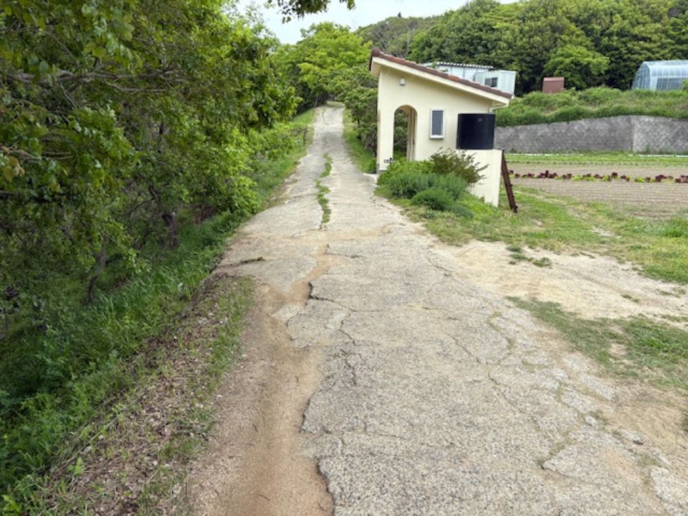 ありがとう村道路