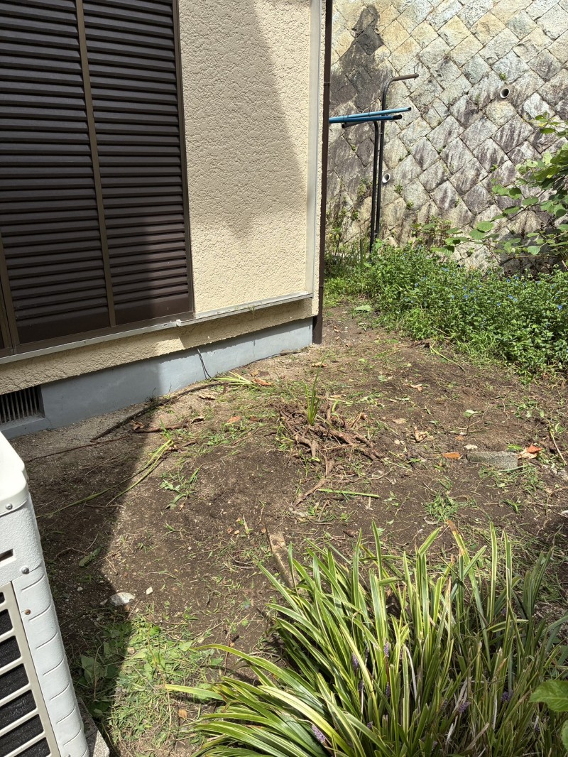 すっきりした庭