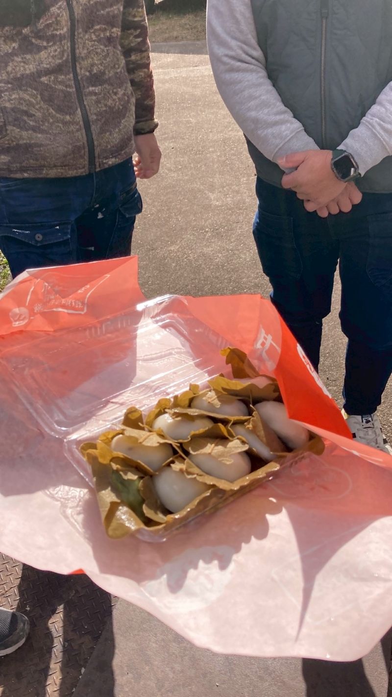 柏餅をみんなで食べました