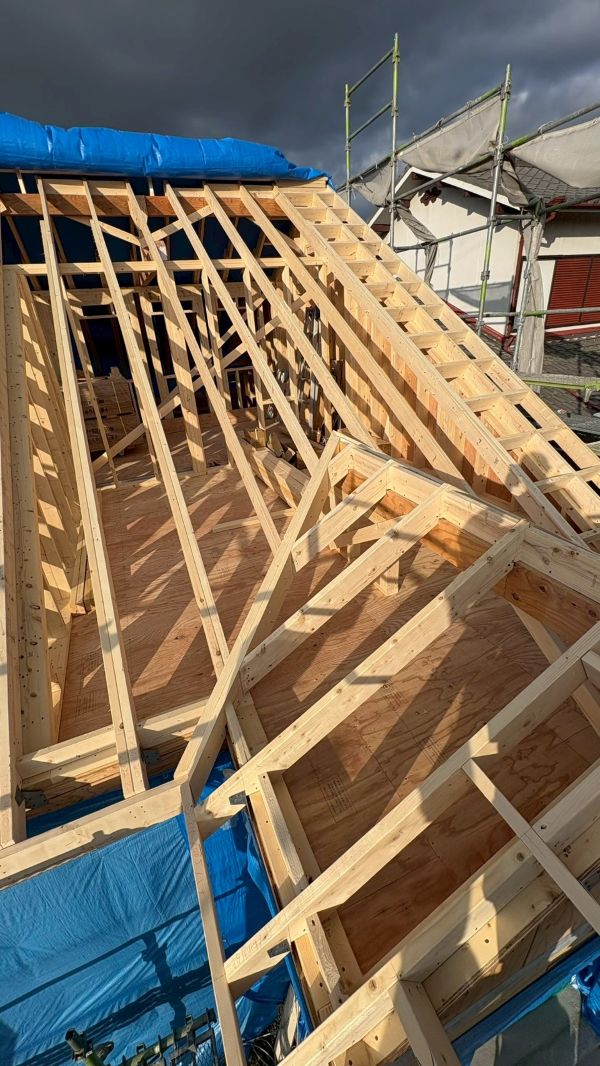 垂木と谷木を組みました