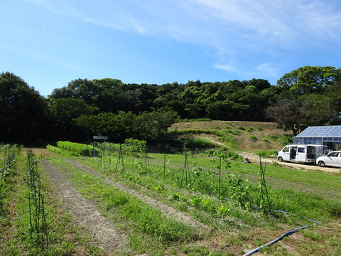 淡路島　家　おしゃれ